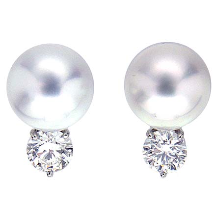 10mm South Sea Pearl Earrings